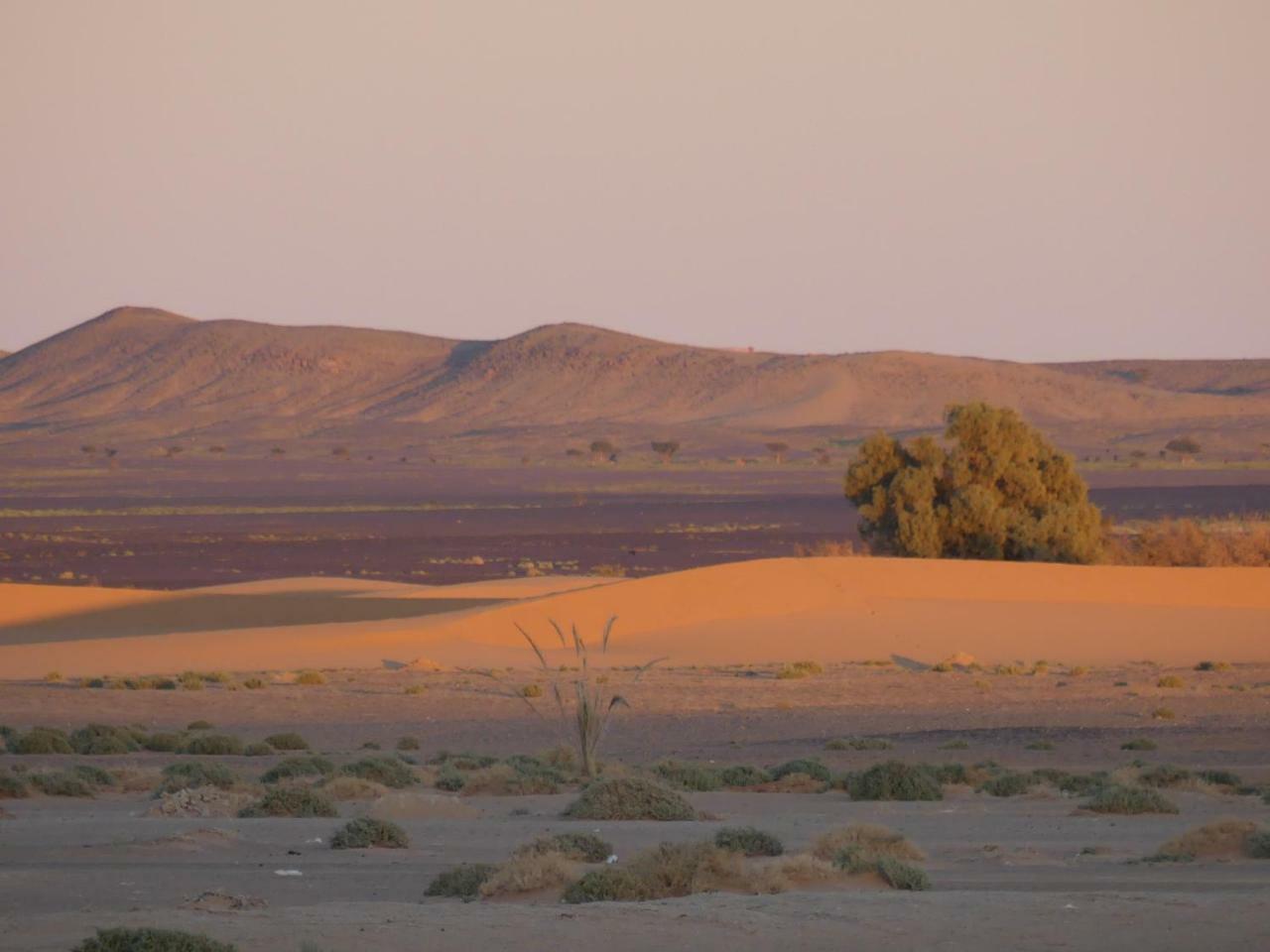 Camel Bivouac Merzouga Exterior photo